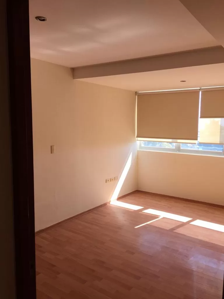 Penthouse con roofgarden,